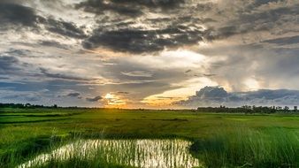 water among green meadows at dusk