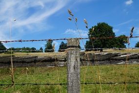 fence with barbed wire on a green meadow