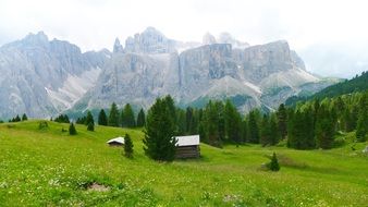 hut on green meadow Mountains view