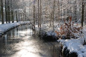 winter forest river Landscape