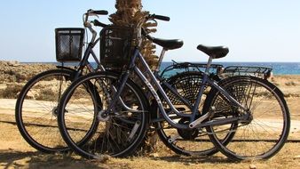 Bicycles in the summer