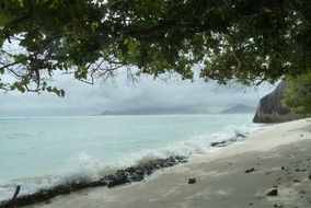 deserted sandy beach in foggy haze