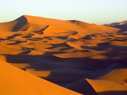 photo of orange sand dunes