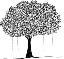 Banyan tree
