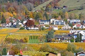 idyllic Autumn Village panorama
