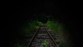 dark railway in the forest