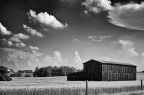 black and white picture of a barn on the field