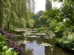 Water Garden in Cluade monet