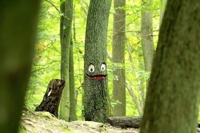 painted cartoon face on a tree in the forest