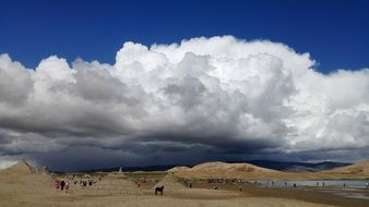 incredibly handsome White Cloud