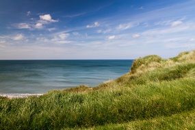 green grass on sea Coast on a sunny day