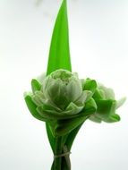 Lotus Decoration Flower