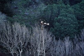 old windmill in forest