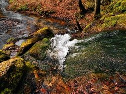 stream in a valley near Krakow