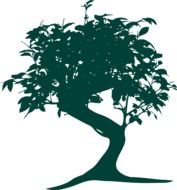 Green Bonsai tree silhouette