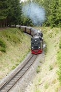 steam locomotive rushes through the narrow gauge railway