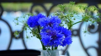 Blue cornflowers bouquet in vase