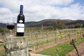 wine in the vineyards at Grampians National Park