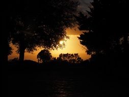 Beautiful and colorful, romantic evening sky in the forest