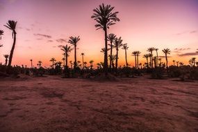 pink sunset over the desert in Morocco