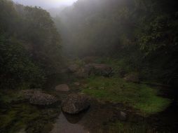 Landscape of Madeira in the summer