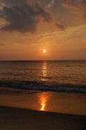 Golden Sunset over the ocean