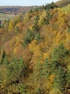 panorama of the autumn national park in poland