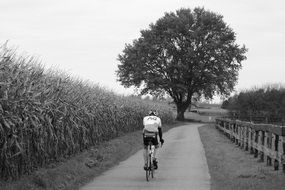 awesome Cycling Sports
