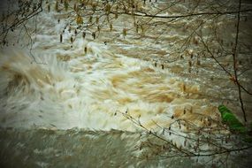 Beautiful drawing of foam in a stormy river under the plant with beautiful and colorful bird on the branch