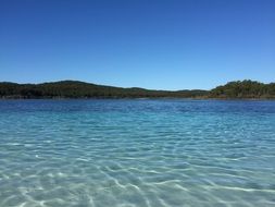 Fraser Island near a lake in Australia