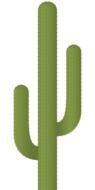İllustration of Green Cactus