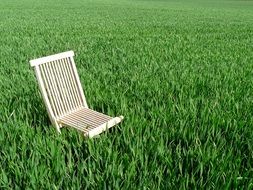 highchair stands on green grass