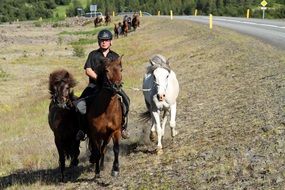 horseback riding in Iceland