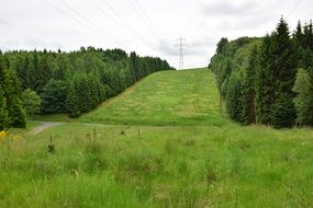 Green Band Wide Landscape