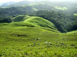 panorama of wide green spaces