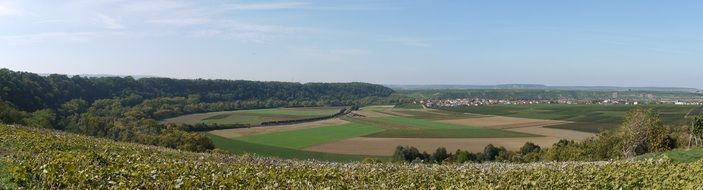 Panorama Of The Rural Perspective