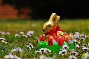 Easter chocolate bunny in the spring meadow