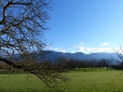 green field among the picturesque landscape