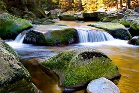 cascading creek in the forest