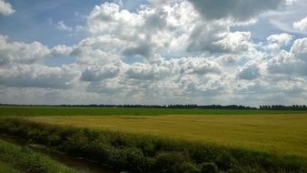 panorama of rural fields in Holland