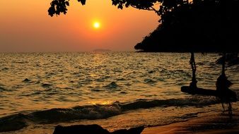 beach with palm trees at sunset