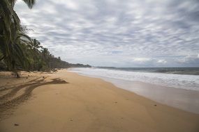 wide sandy beach with palm trees