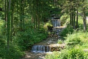 cascading waterfall in the forest among the trees