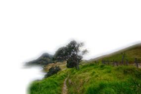 Landscape of green grassed river bank