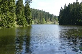 Grumbach Pond in the Forest scene