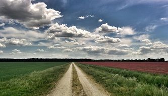 road along the fields in the countryside