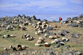 Landscape of Mount Ararat