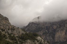 Beautiful landscape with the foggy mountains