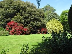 summer garden on a sunny day