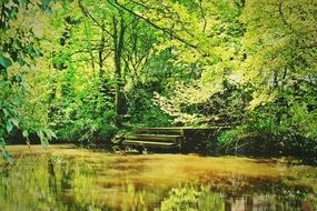 pier with steps on bank of River with calm green water in forest at summer